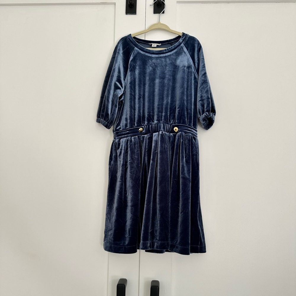 J.Crew Crewcuts Elegant Blue Velvet Dress with Gold Accents